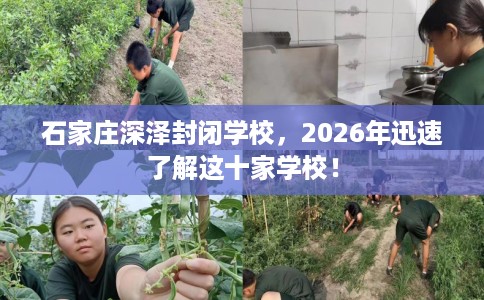 石家庄深泽封闭学校，2026年迅速了解这十家学校！