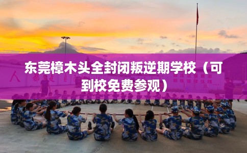 东莞樟木头全封闭叛逆期学校（可到校免费参观）