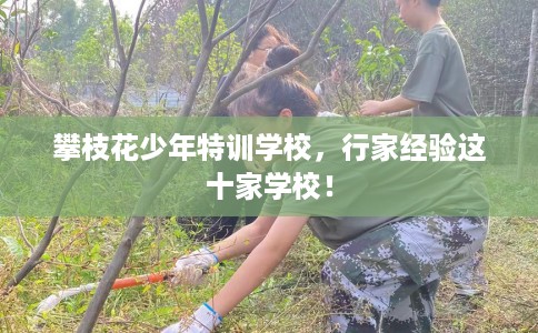 攀枝花少年特训学校，行家经验这十家学校！