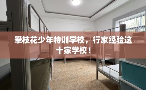 攀枝花少年特训学校，行家经验这十家学校！