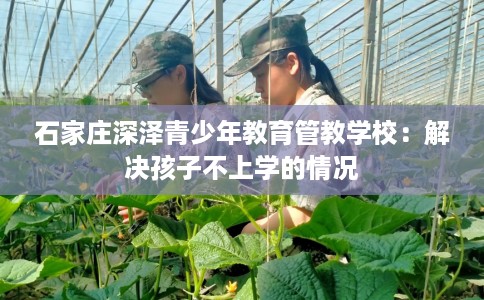 石家庄深泽青少年教育管教学校：解决孩子不上学的情况
