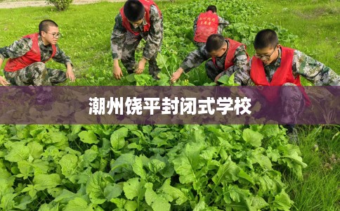 潮州饶平封闭式学校