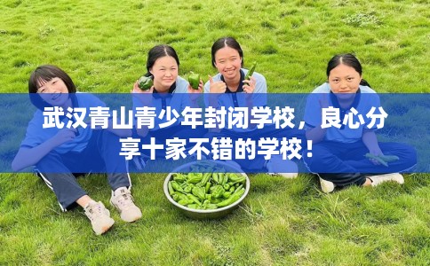 武汉青山青少年封闭学校，良心分享十家不错的学校！