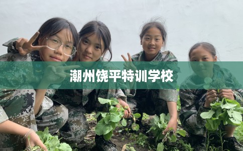 潮州饶平特训学校