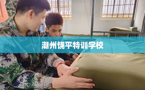 潮州饶平特训学校