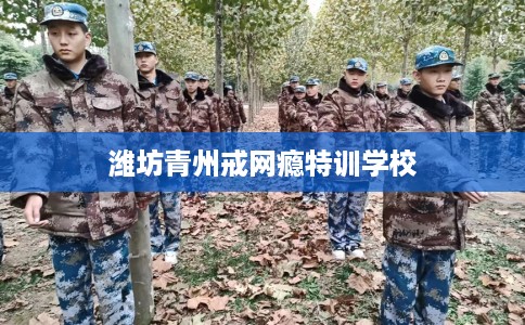潍坊青州戒网瘾特训学校