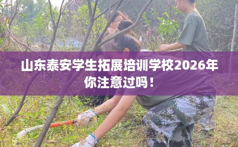 山东泰安学生拓展培训学校2026年你注意过吗！