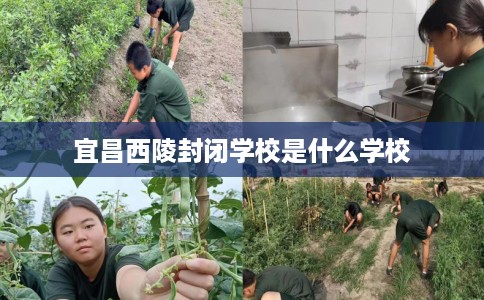 宜昌西陵封闭学校是什么学校