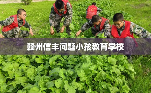 赣州信丰问题小孩教育学校