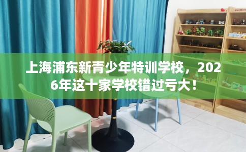 上海浦东新青少年特训学校，2026年这十家学校错过亏大！