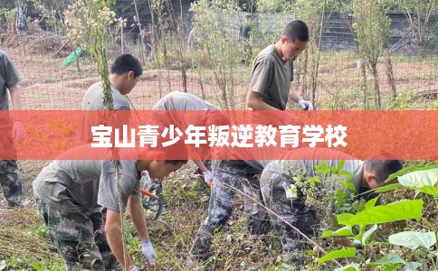 宝山青少年叛逆教育学校 宝山青少年叛逆教育学校