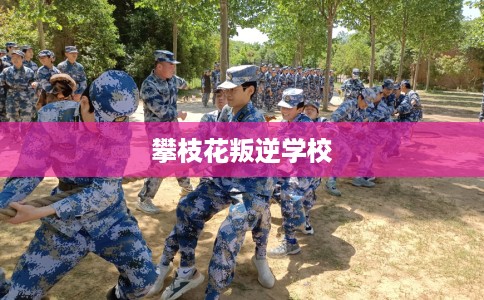 攀枝花叛逆学校