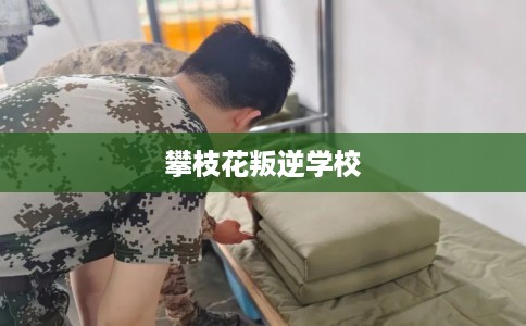 攀枝花叛逆学校