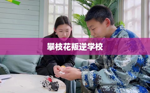 攀枝花叛逆学校