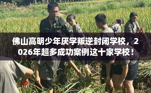 佛山高明少年厌学叛逆封闭学校，2026年超多成功案例这十家学校！