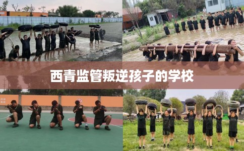 西青监管叛逆孩子的学校