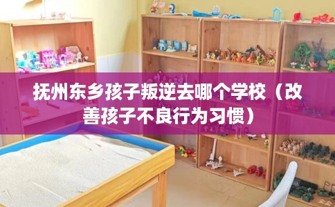 抚州东乡孩子叛逆去哪个学校（改善孩子不良行为习惯）