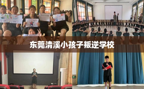 东莞清溪小孩子叛逆学校