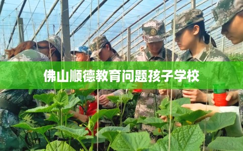 佛山顺德教育问题孩子学校