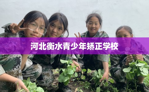 河北衡水青少年矫正学校
