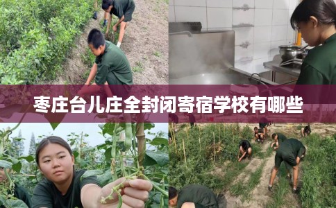 枣庄台儿庄全封闭寄宿学校有哪些 枣庄台儿庄全封闭寄宿学校有哪些