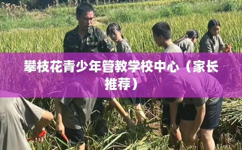 攀枝花青少年管教学校中心(家长推荐) 攀枝花青少年管教学校中心(家长推荐)