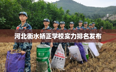 河北衡水矫正学校实力排名发布 河北衡水矫正学校实力排名发布