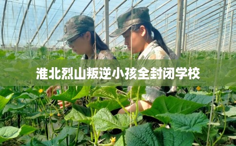 淮北烈山叛逆小孩全封闭学校 淮北烈山叛逆小孩全封闭学校