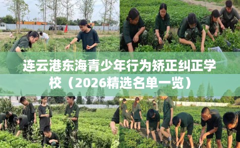 连云港东海青少年行为矫正纠正学校（2026精选名单一览）