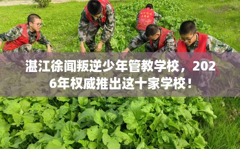 湛江徐闻叛逆少年管教学校，2026年权威推出这十家学校！