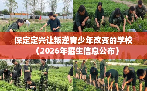 保定定兴让叛逆青少年改变的学校（2026年招生信息公布）