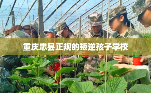 重庆忠县正规的叛逆孩子学校 重庆忠县正规的叛逆孩子学校