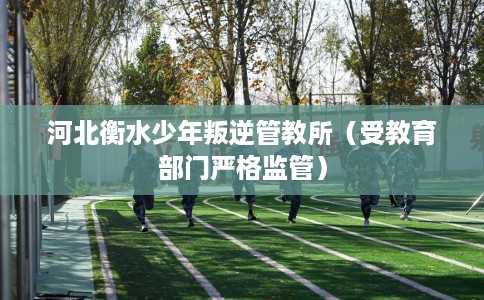 河北衡水少年叛逆管教所（受教育部门严格监管）