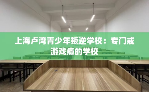 上海卢湾青少年叛逆学校：专门戒游戏瘾的学校