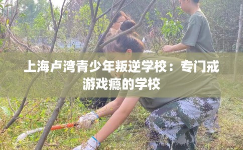 上海卢湾青少年叛逆学校：专门戒游戏瘾的学校