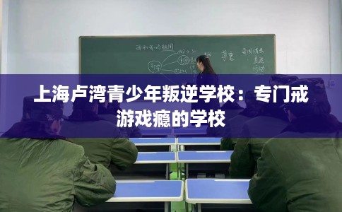 上海卢湾青少年叛逆学校：专门戒游戏瘾的学校
