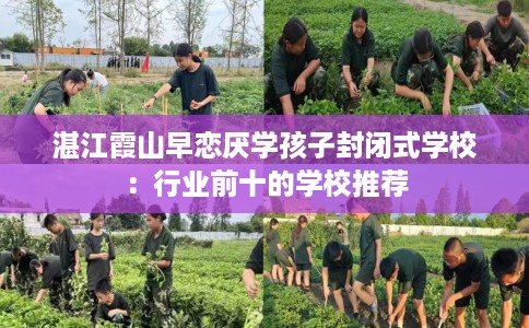 湛江霞山早恋厌学孩子封闭式学校:行业前十的学校推荐 湛江霞山早恋厌学孩子封闭式学校:行业前十的学校推荐