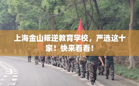 上海金山叛逆教育学校，严选这十家！快来看看！