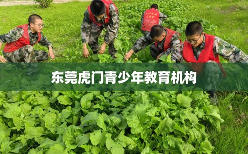 东莞虎门青少年教育机构 东莞虎门青少年教育机构