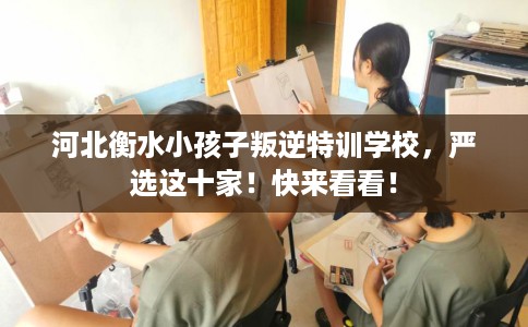 河北衡水小孩子叛逆特训学校,严选这十家!快来看看! 河北衡水小孩子叛逆特训学校,严选这十家!快来看看!