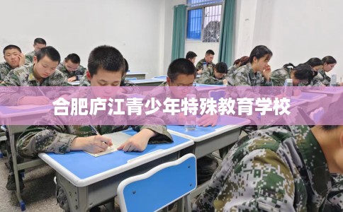 合肥庐江青少年特殊教育学校