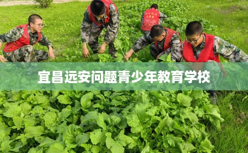 宜昌远安问题青少年教育学校