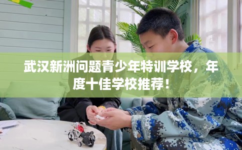 武汉新洲问题青少年特训学校，年度十佳学校推荐！