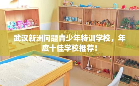 武汉新洲问题青少年特训学校，年度十佳学校推荐！
