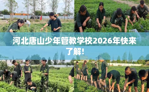 河北唐山少年管教学校2026年快来了解!