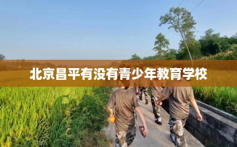 北京昌平有没有青少年教育学校