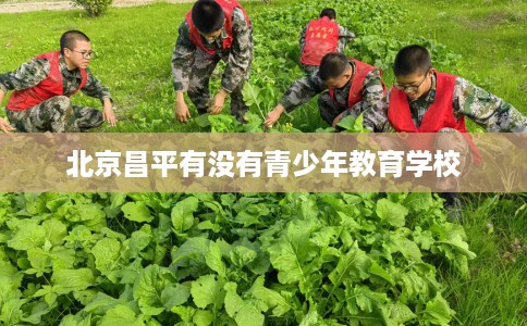 北京昌平有没有青少年教育学校