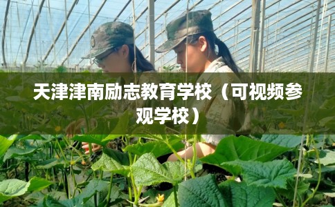 天津津南励志教育学校(可视频参观学校) 天津津南励志教育学校(可视频参观学校)