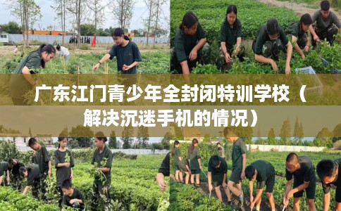 广东江门青少年全封闭特训学校(解决沉迷手机的情况) 广东江门青少年全封闭特训学校(解决沉迷手机的情况)