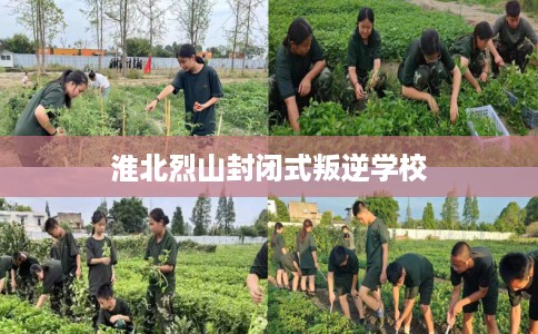淮北烈山封闭式叛逆学校 淮北烈山封闭式叛逆学校